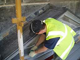 christchurch - 3100.jpg